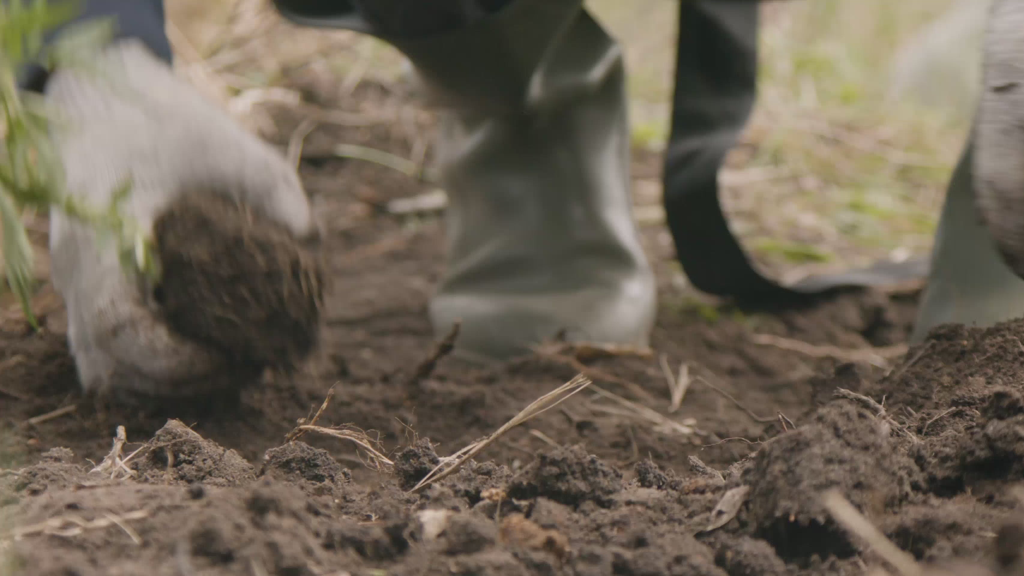 Person planter små træer som en del af et bæredygtigt genplantningsprojekt.